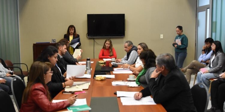 La Comisión de Asuntos Sociales inició el análisis del Proyecto de Ley de Juventudes