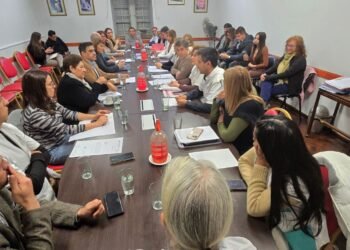 La Comisión de Salud analizó el proyecto de actualización de la Ley de Farmacia