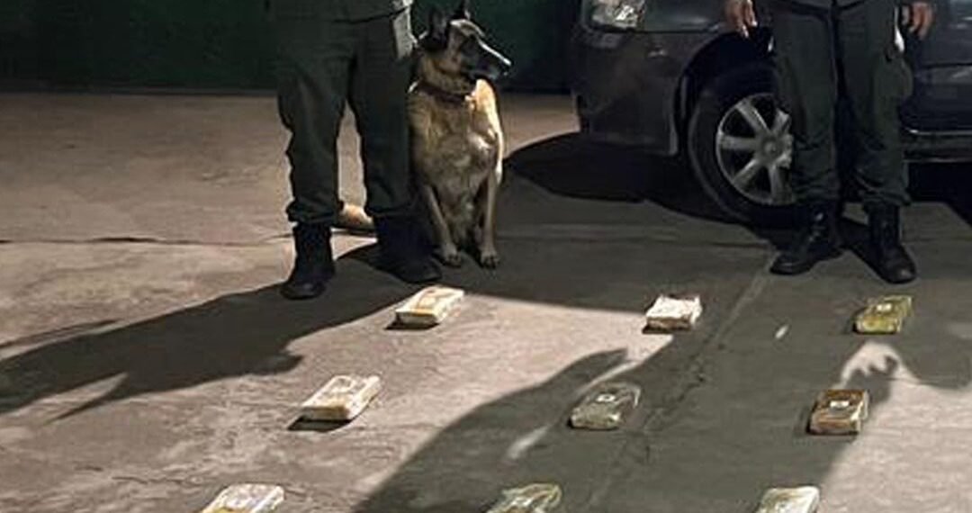 Se puso nervioso, lo requisaron y le encontraron 42 kilos de cocaína