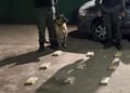Se puso nervioso, lo requisaron y le encontraron 42 kilos de cocaína