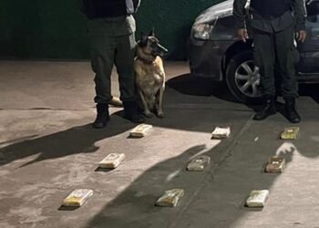 Se puso nervioso, lo requisaron y le encontraron 42 kilos de cocaína
