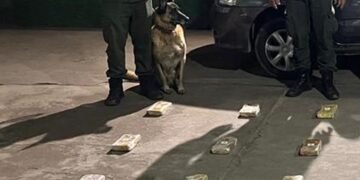 Se puso nervioso, lo requisaron y le encontraron 42 kilos de cocaína