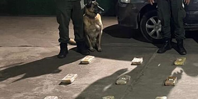 Se puso nervioso, lo requisaron y le encontraron 42 kilos de cocaína