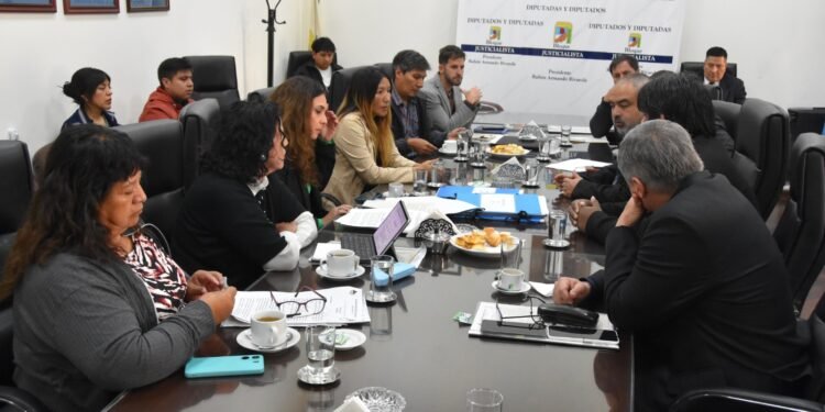 La Comisión de Obras y Servicios Públicos analizó el proyecto de Ley de Emergencia Habitacional