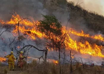 Alerta extrema en Jujuy y el Norte: rige un aviso oficial por peligro inminente de incendios hasta el 21 de julio