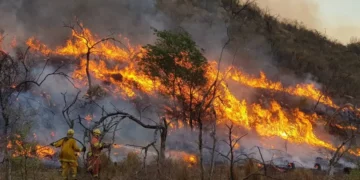 Alerta extrema en Jujuy y el Norte: rige un aviso oficial por peligro inminente de incendios hasta el 21 de julio