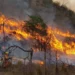 Alerta extrema en Jujuy y el Norte: rige un aviso oficial por peligro inminente de incendios hasta el 21 de julio