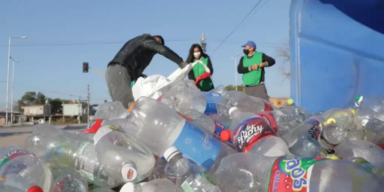 Los carroceros compiten por ver qué colegio tiene más «aura ambiental»