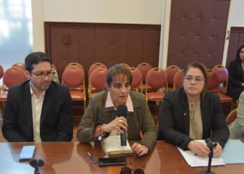 La Comisión de Educación se reunió con la ministra Daniela Teseira
