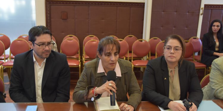La Comisión de Educación se reunió con la ministra Daniela Teseira