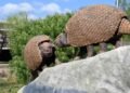 Cómo eran los gliptodontes que habitaron Jujuy hace 6,3 millones de años y por qué se instalaron sus esculturas en el Parque Xibi Xibi
