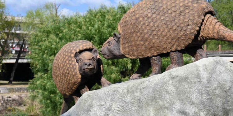 Cómo eran los gliptodontes que habitaron Jujuy hace 6,3 millones de años y por qué se instalaron sus esculturas en el Parque Xibi Xibi