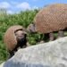 Cómo eran los gliptodontes que habitaron Jujuy hace 6,3 millones de años y por qué se instalaron sus esculturas en el Parque Xibi Xibi