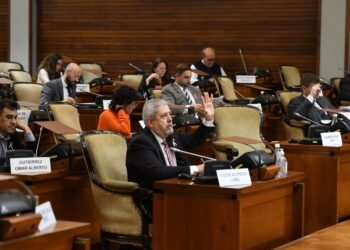La Legislatura realizó su 9 Sesión Ordinaria con declaraciones de interés y un proyecto ciudadano sobre el servicio eléctrico