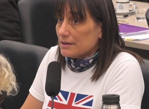 Polémica en el Congreso: la diputada Romina del Plá llamó “Falklands” a las Islas Malvinas