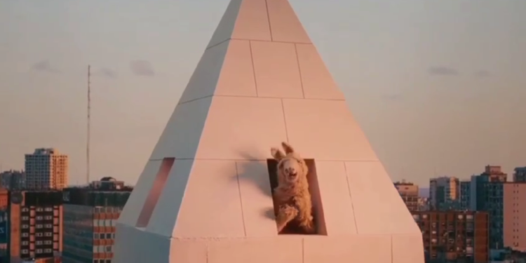 De ícono a ícono: “La llama que llama” reapareció en el Obelisco para despedir a Messi
